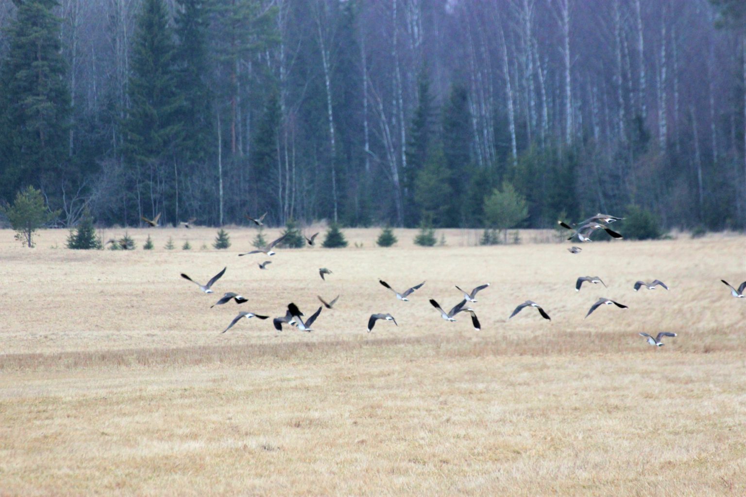 Valokuvaaja: Irja lehtinen