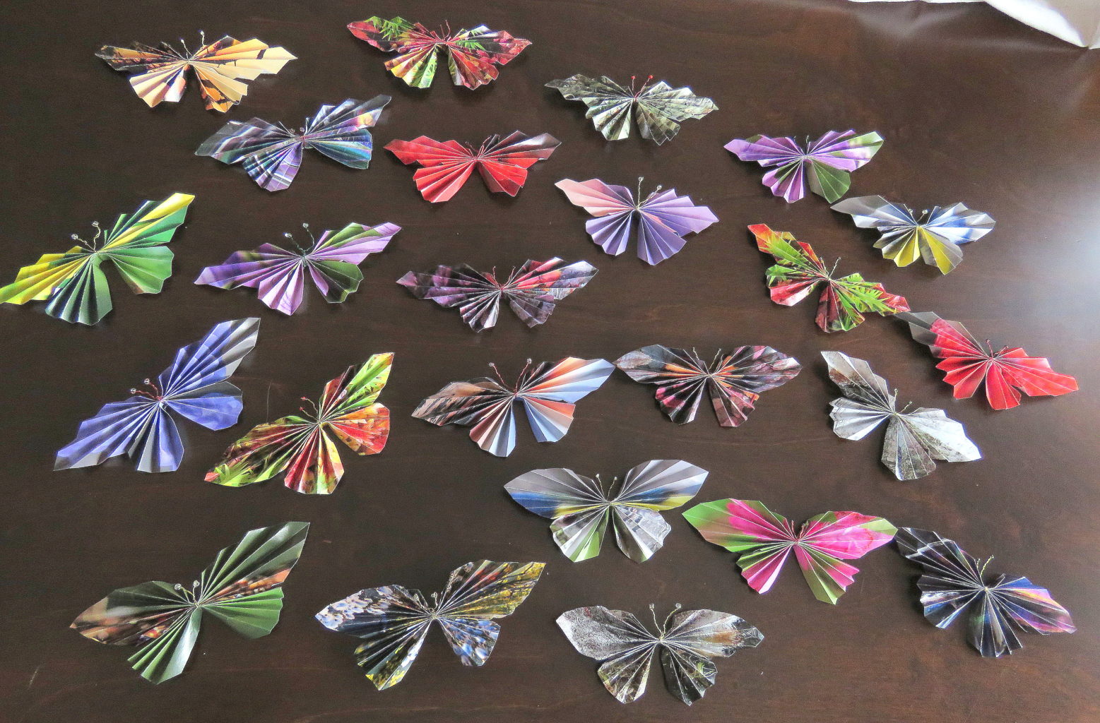 Valokuvaaja: Annikki Mattila