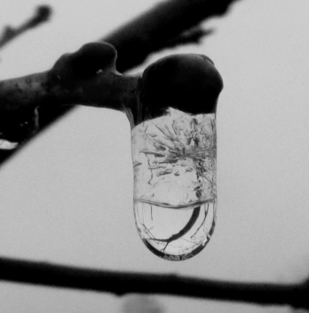 Valokuvaaja: Terttu Rantanen