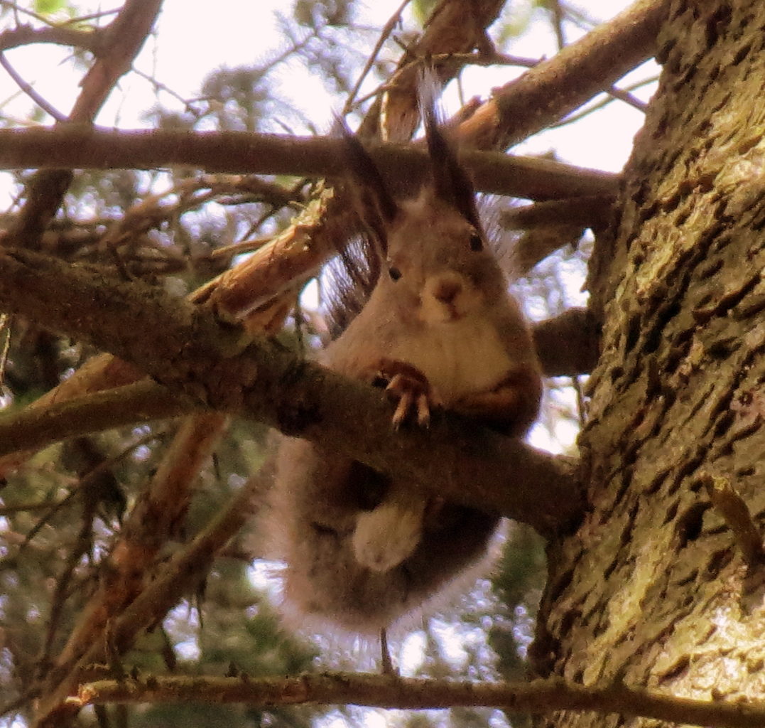 Valokuvaaja: Terttu Rantanen