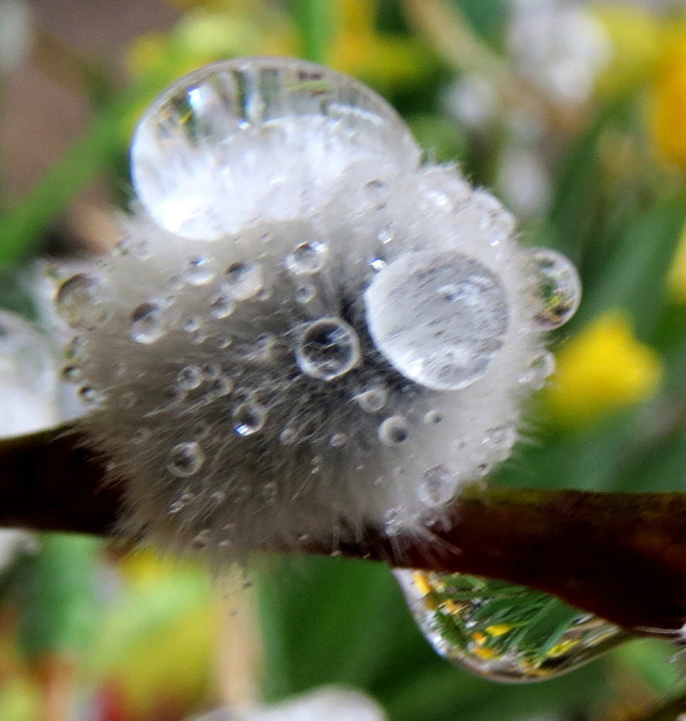 Valokuvaaja: Terttu Rantanen
