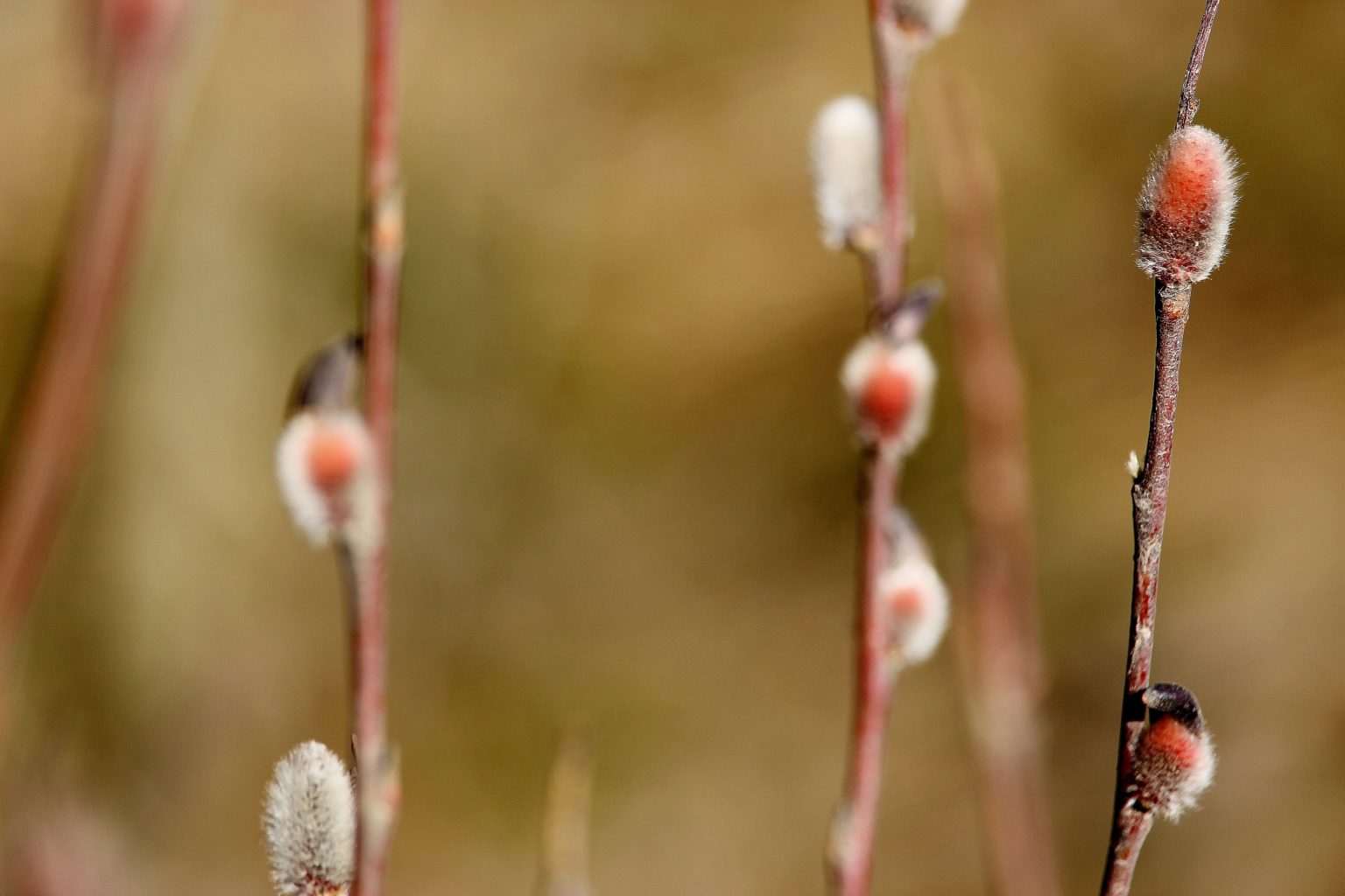 Valokuvaaja: Tuulikki Piikkilä