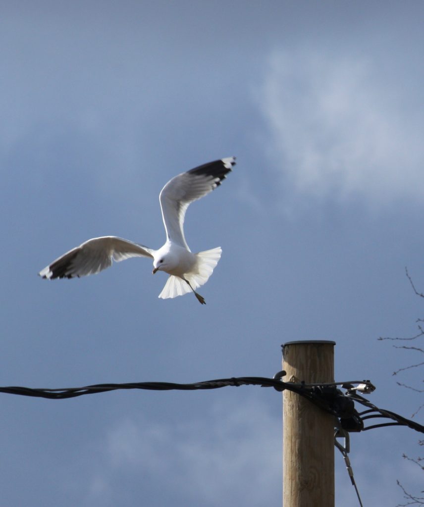 Valokuvaaja: Kaarina Heiskanen