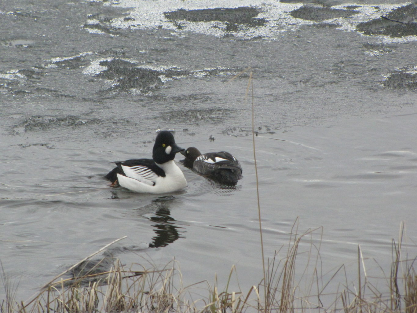 Valokuvaaja: Tuula Makkonen