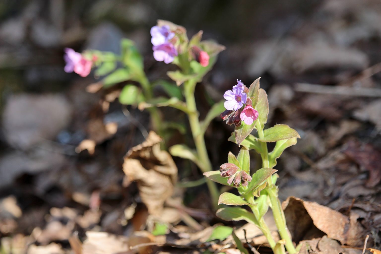 Valokuvaaja: Tuulikki Piikkilä