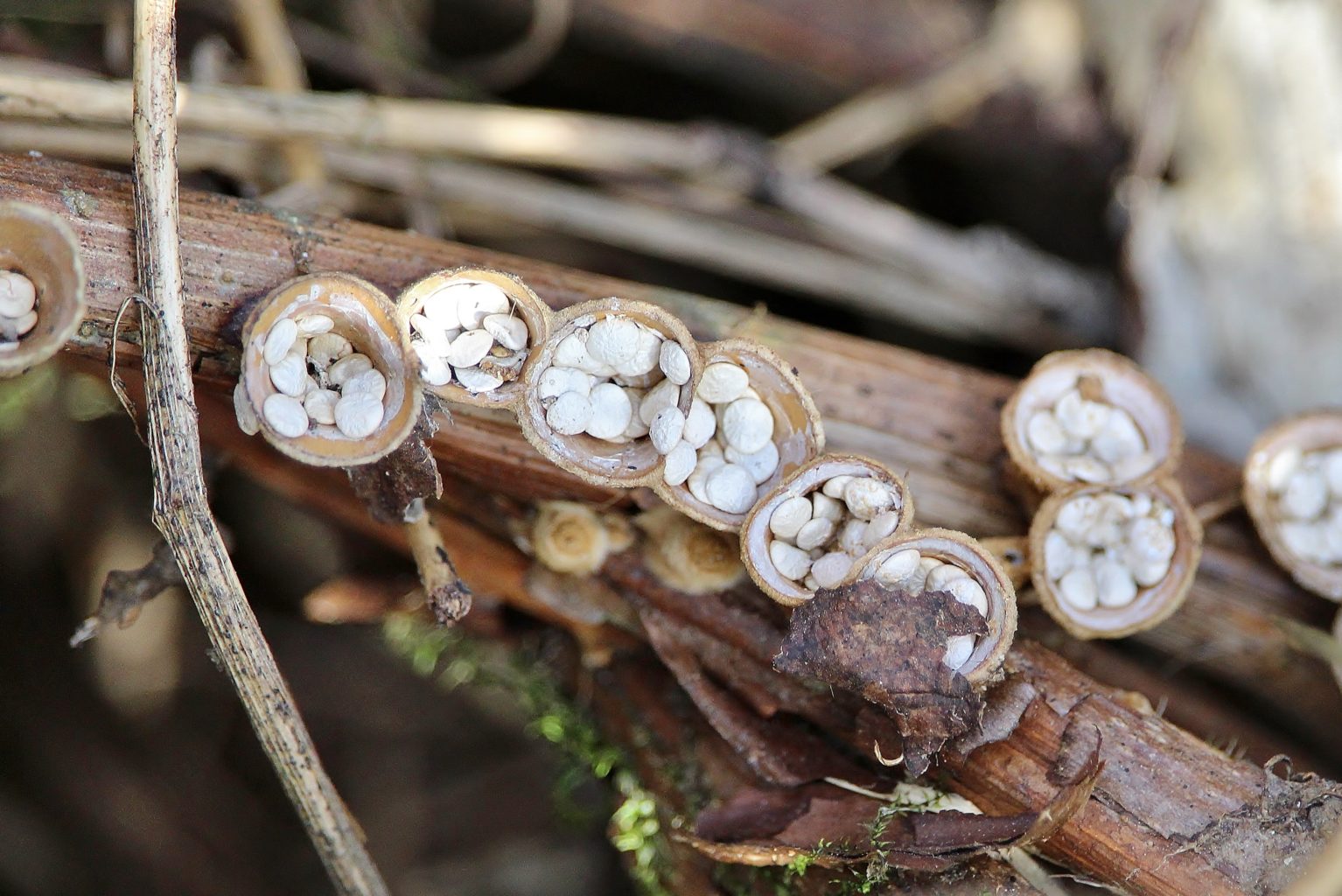 Valokuvaaja: Tuulikki Piikkilä