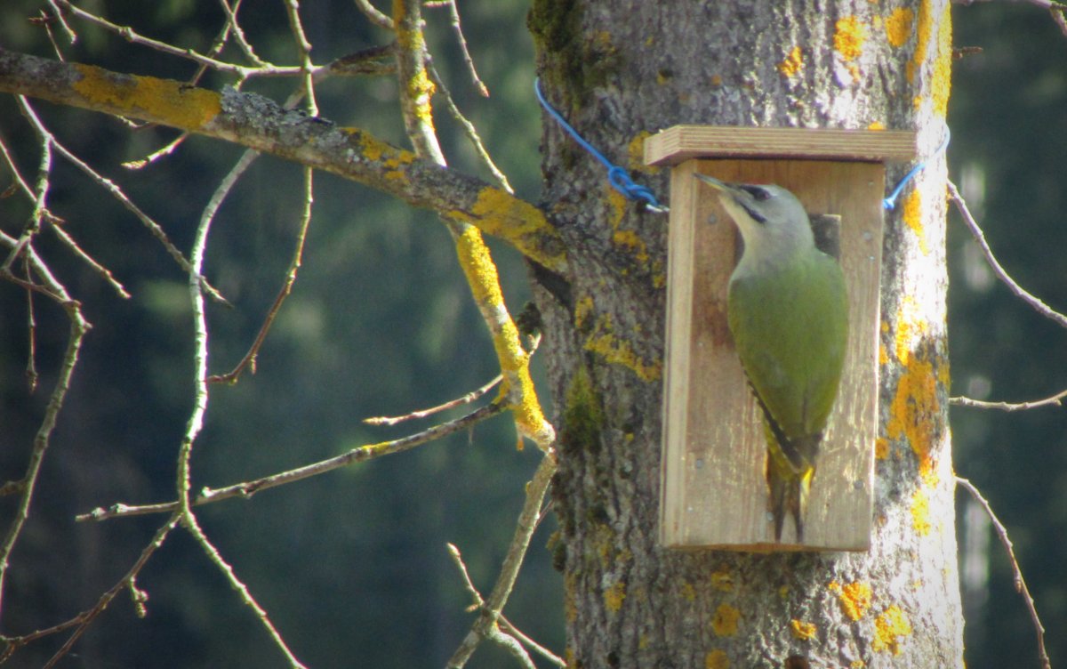 Valokuvaaja: Heidi Mikkola
