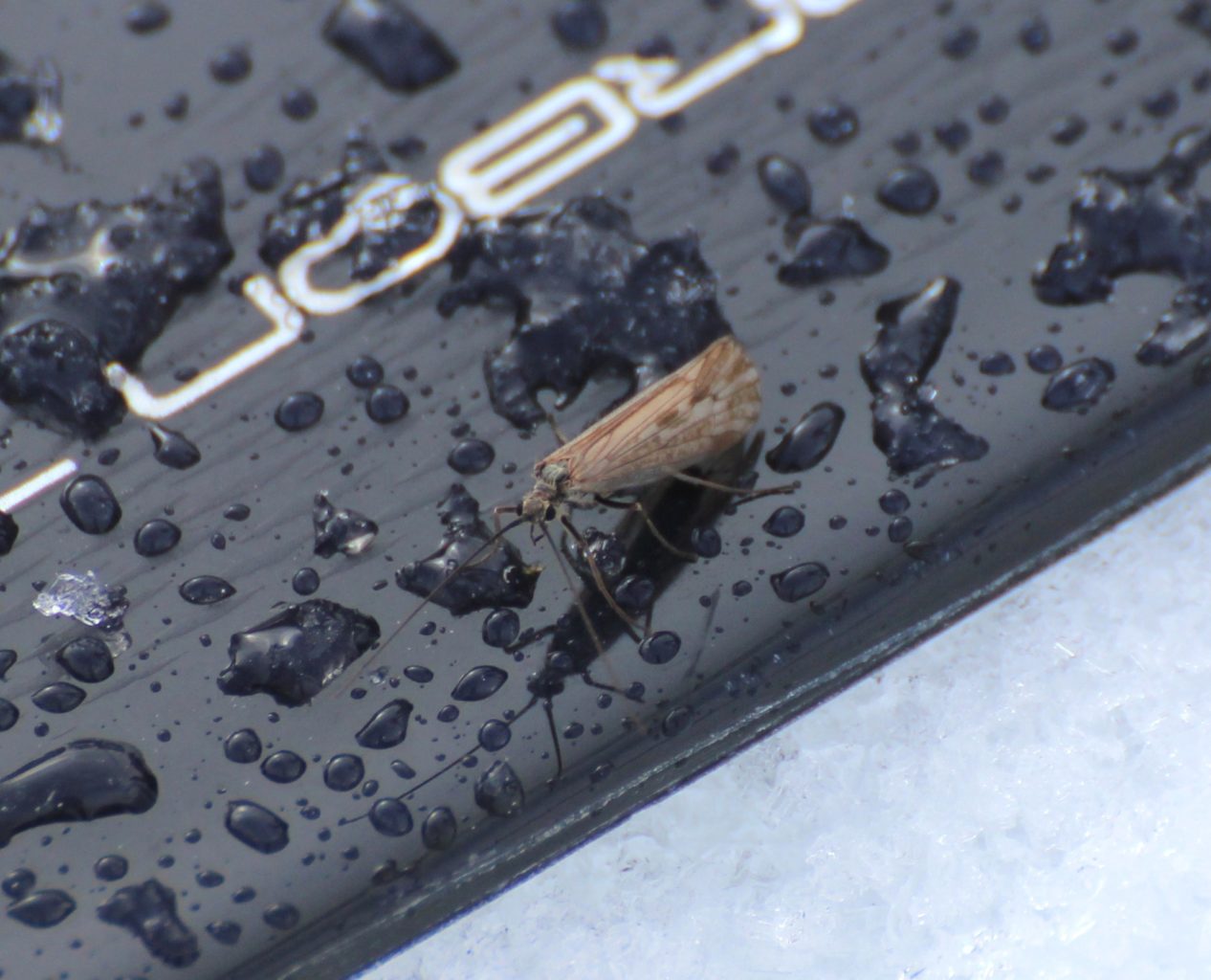 Valokuvaaja: Irja lehtinen