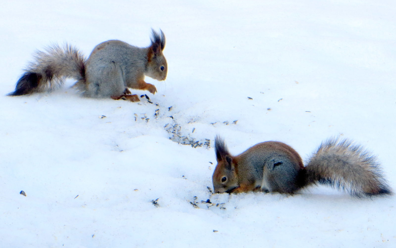 Valokuvaaja: Sirkka Ruotoistenmäki