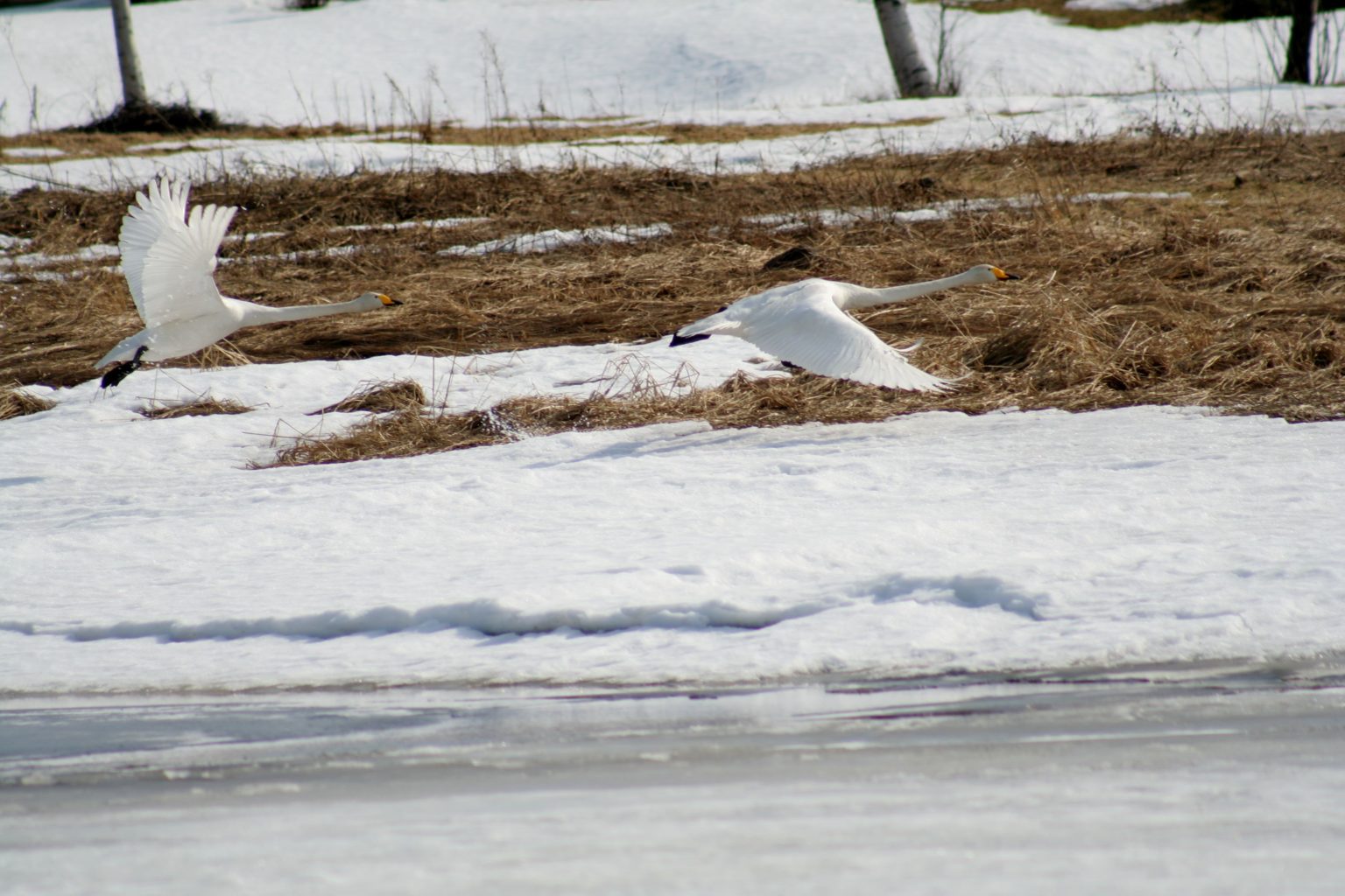 Valokuvaaja: Pirkko Siukonen