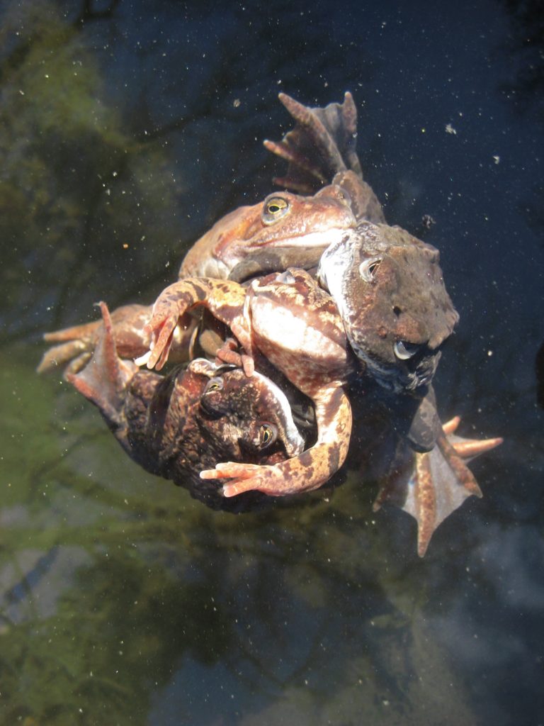 Valokuvaaja: Maria Turunen