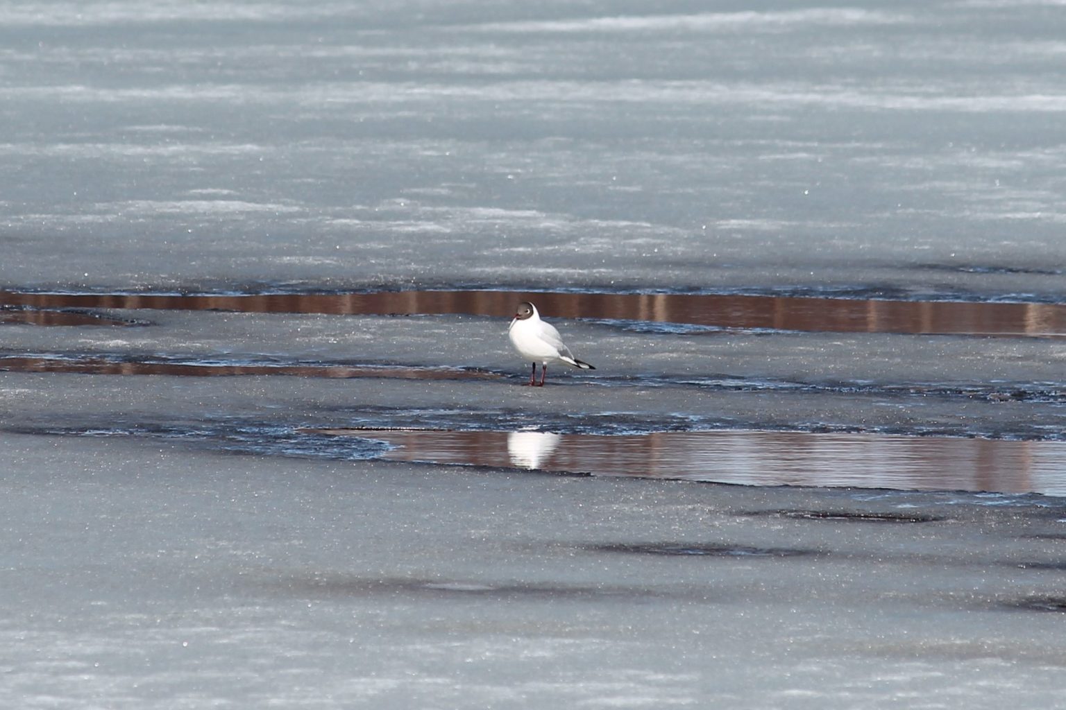 Valokuvaaja: PirkkoLiisa Hautamäki