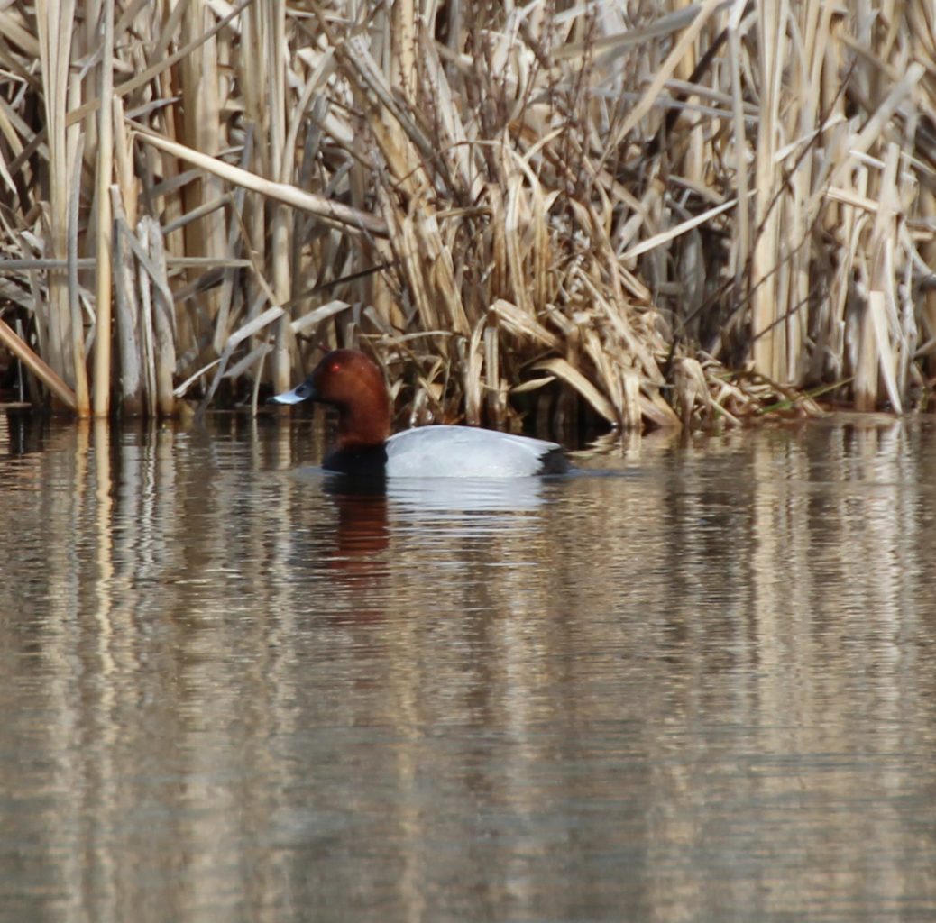 Valokuvaaja: Irja lehtinen