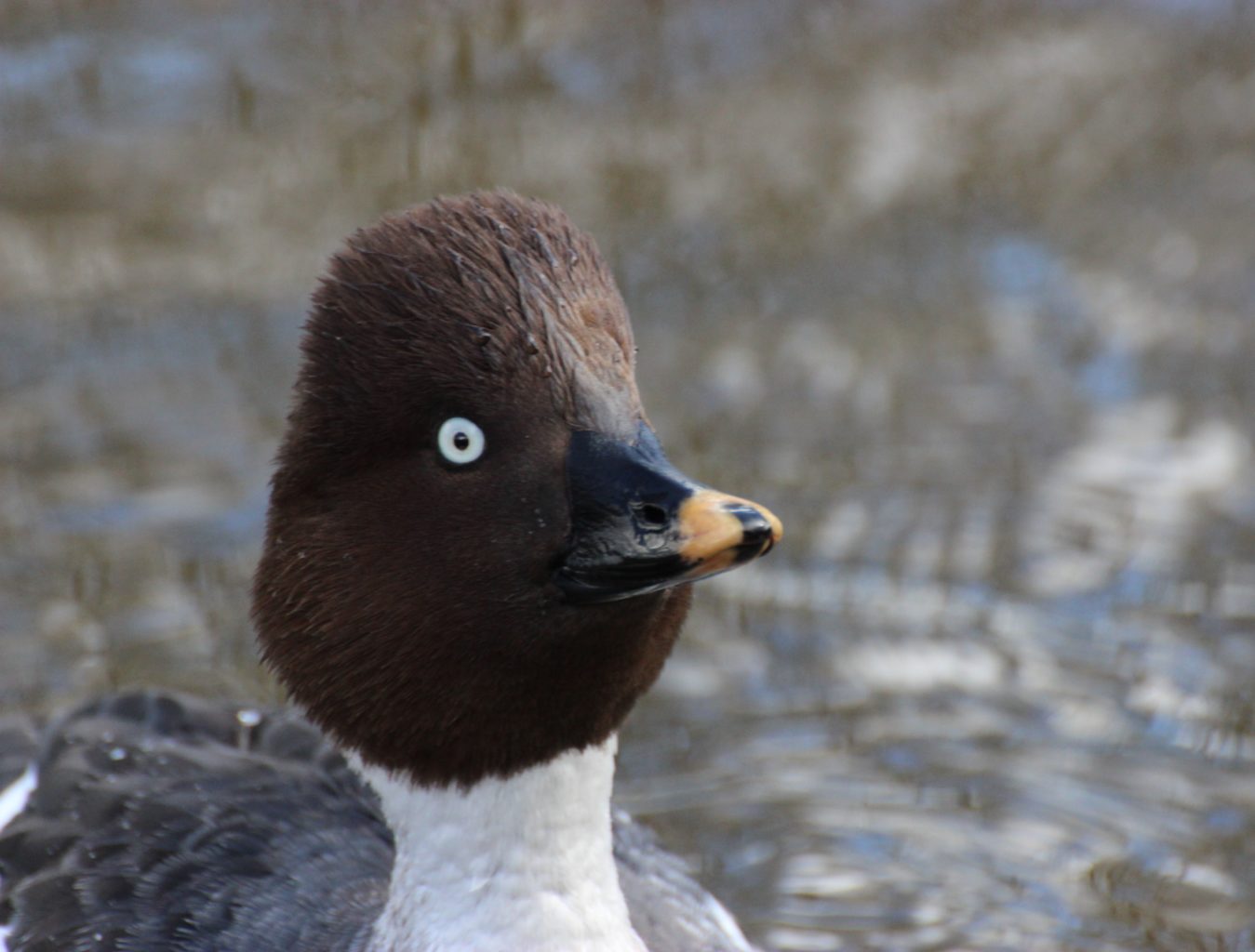 Valokuvaaja: Irja lehtinen
