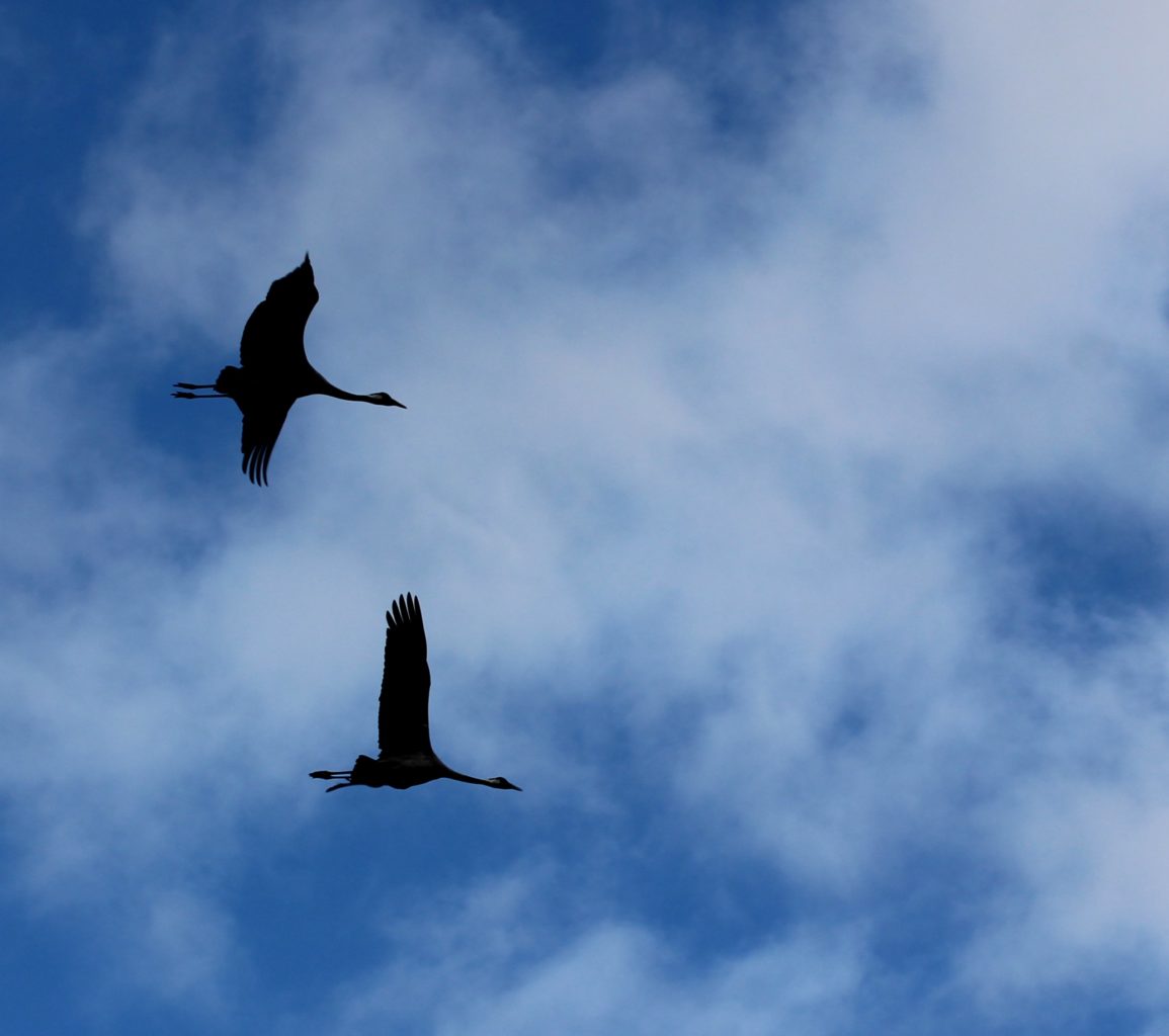 Valokuvaaja: Irja lehtinen