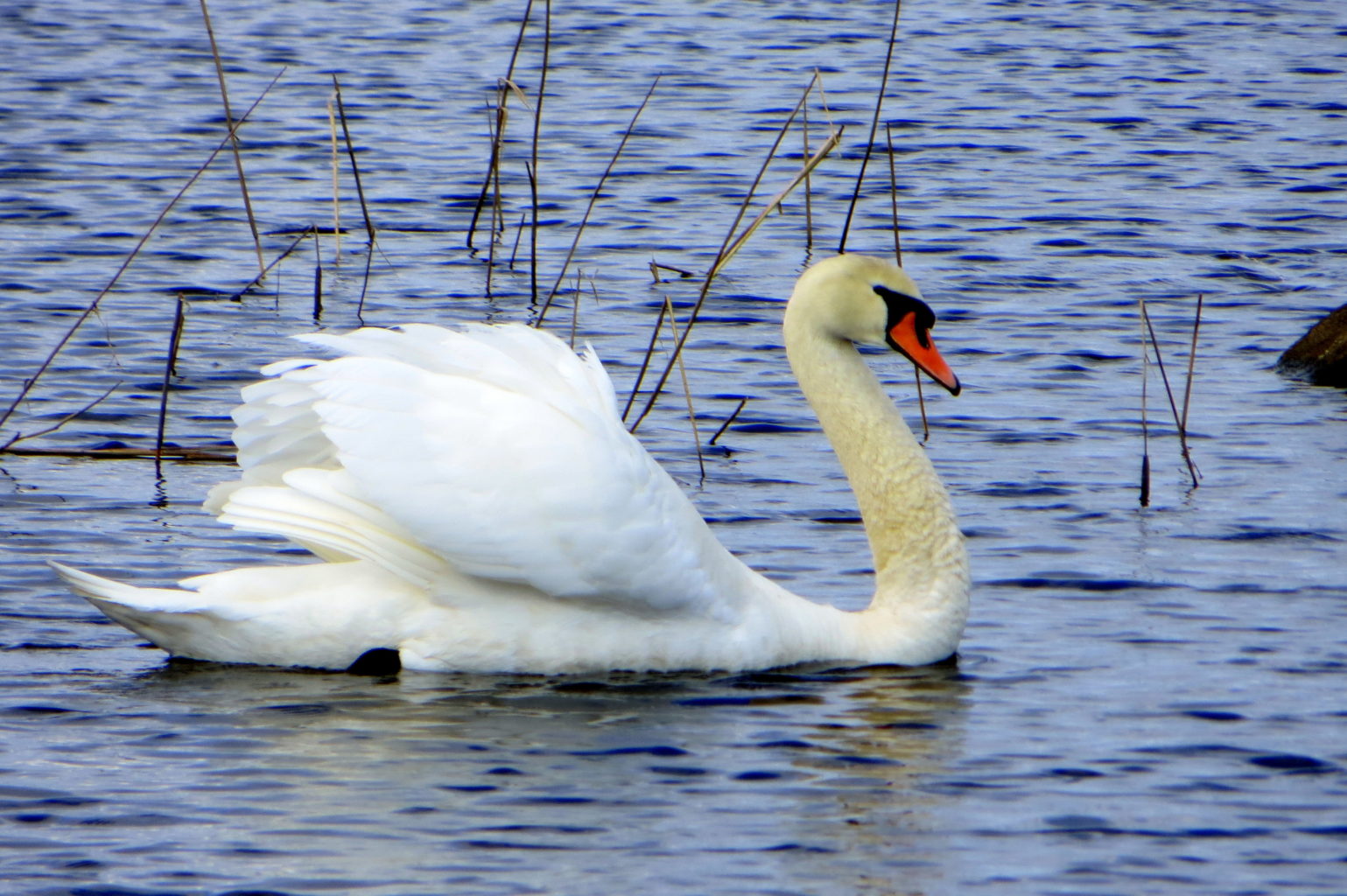 Valokuvaaja: Sirkka Ruotoistenmäki