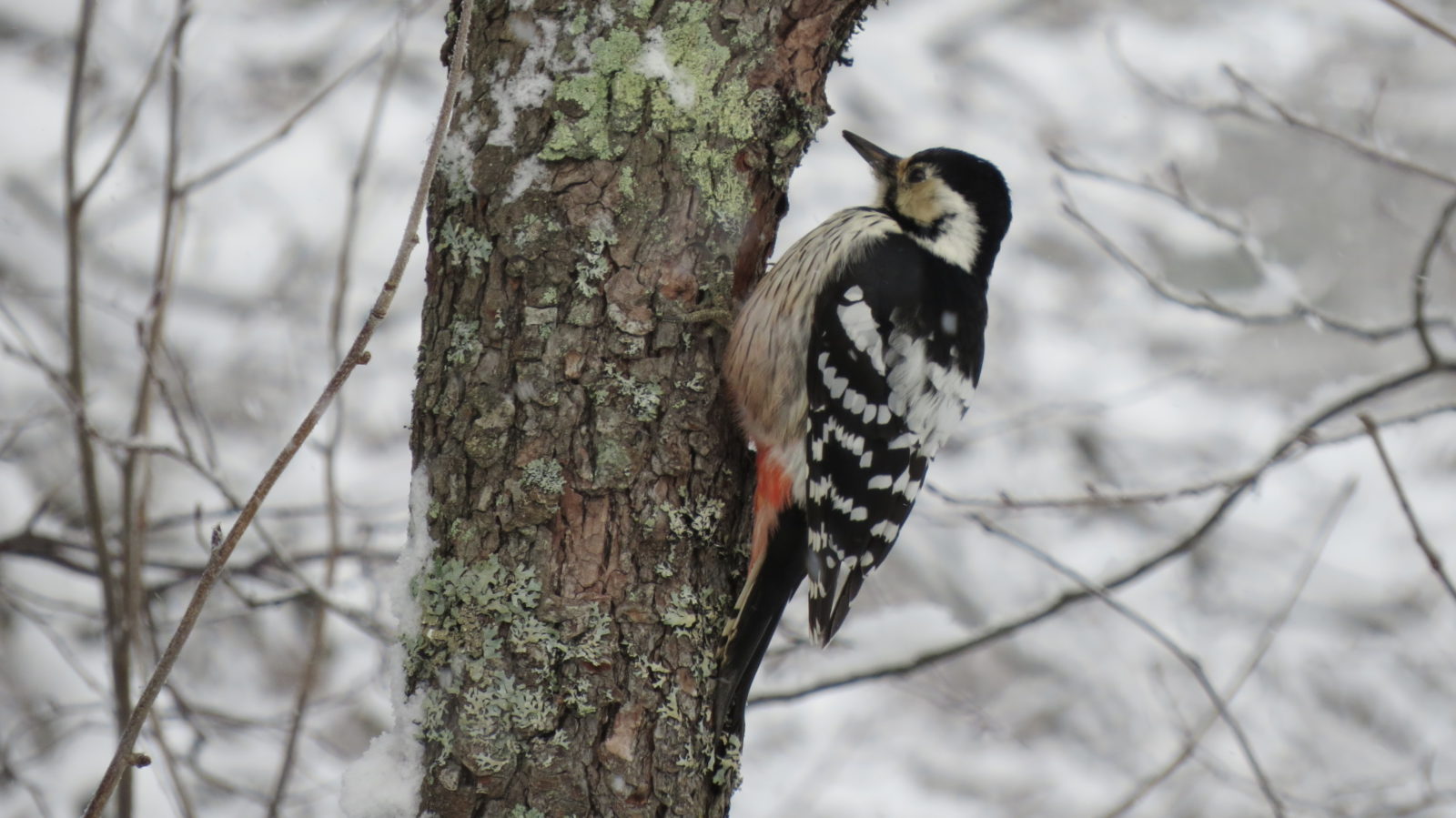 Valokuvaaja: Timo Eskelinen Valokuvaaja: Timo Eskelinen