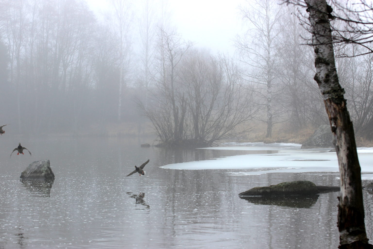 Valokuvaaja: Irja lehtinen