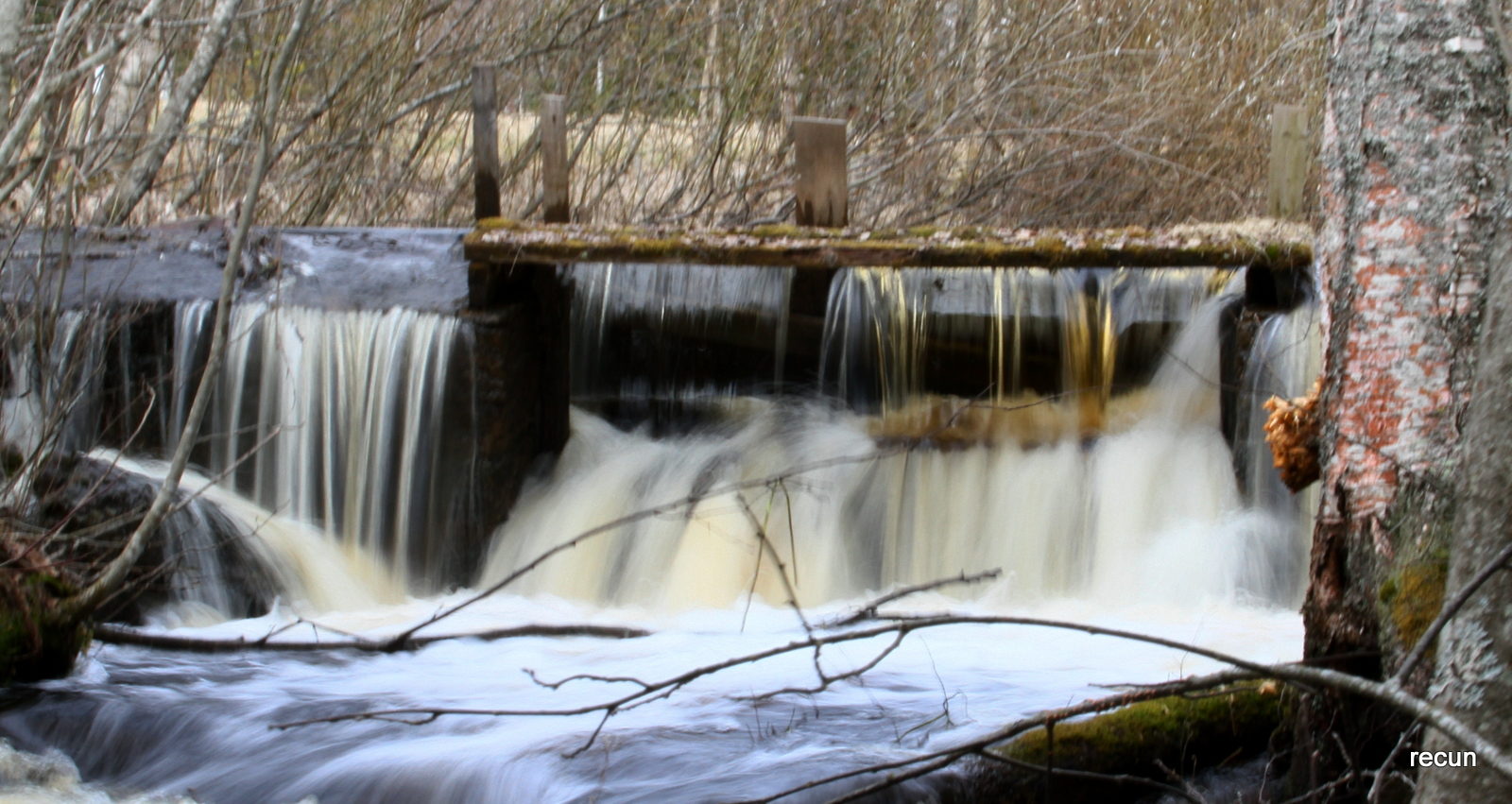 Valokuvaaja: reijo lehtonen