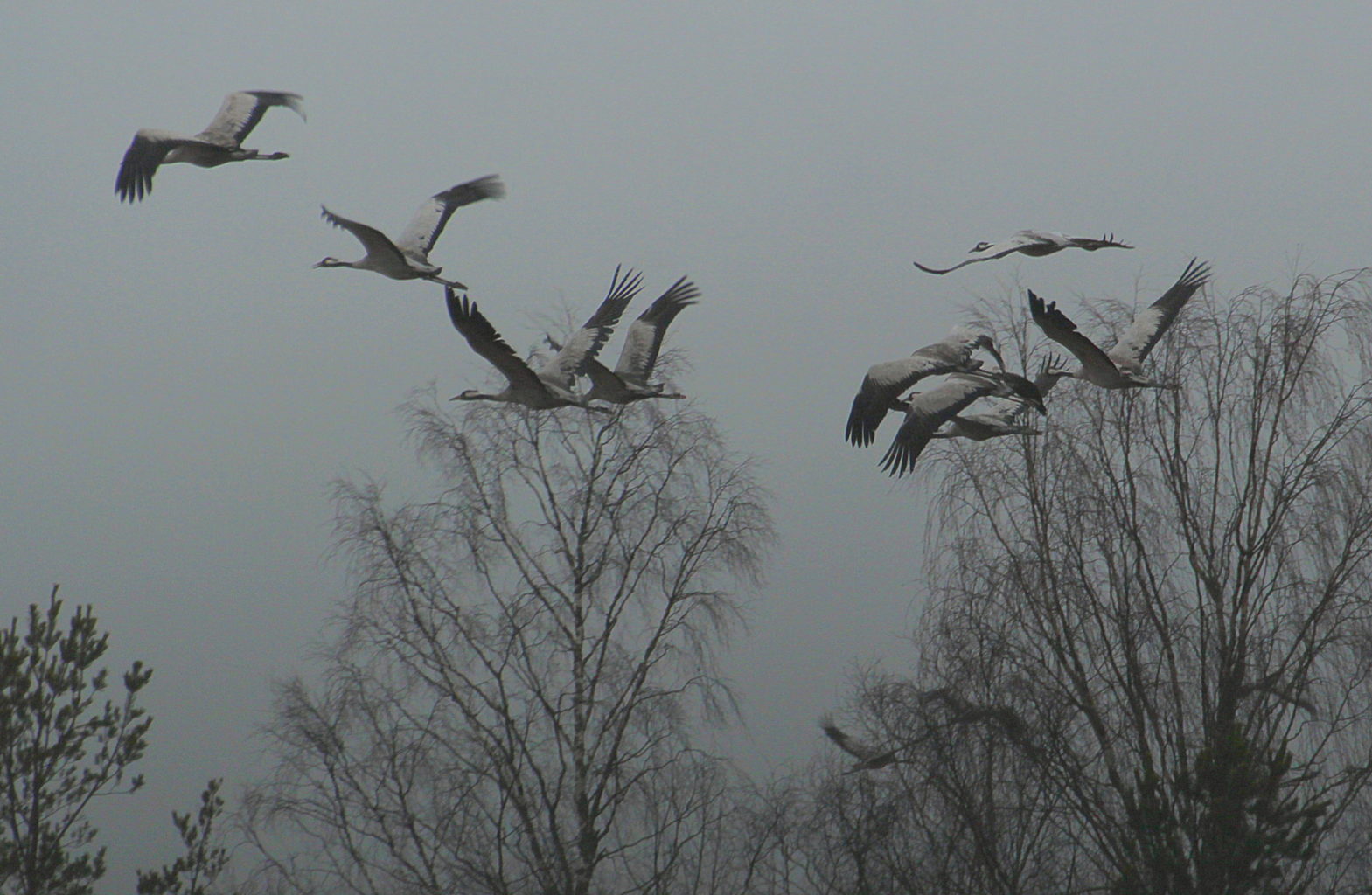 Valokuvaaja: Sirpa Jyske