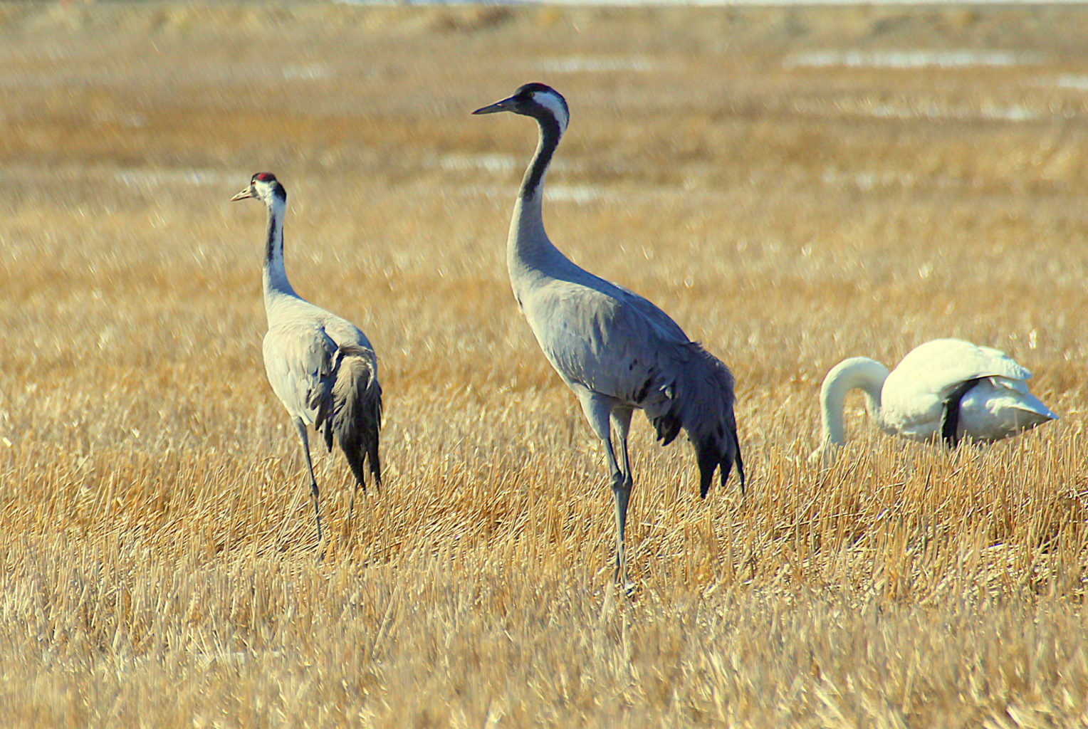Valokuvaaja: Sirpa Jyske Valokuvaaja: Sirpa Jyske