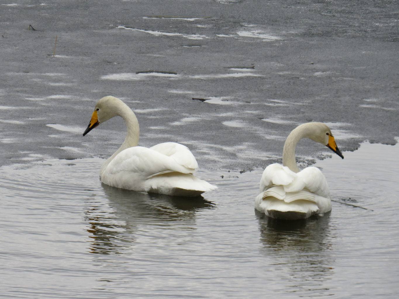 Valokuvaaja: Jaana Talvinen Valokuvaaja: Jaana Talvinen