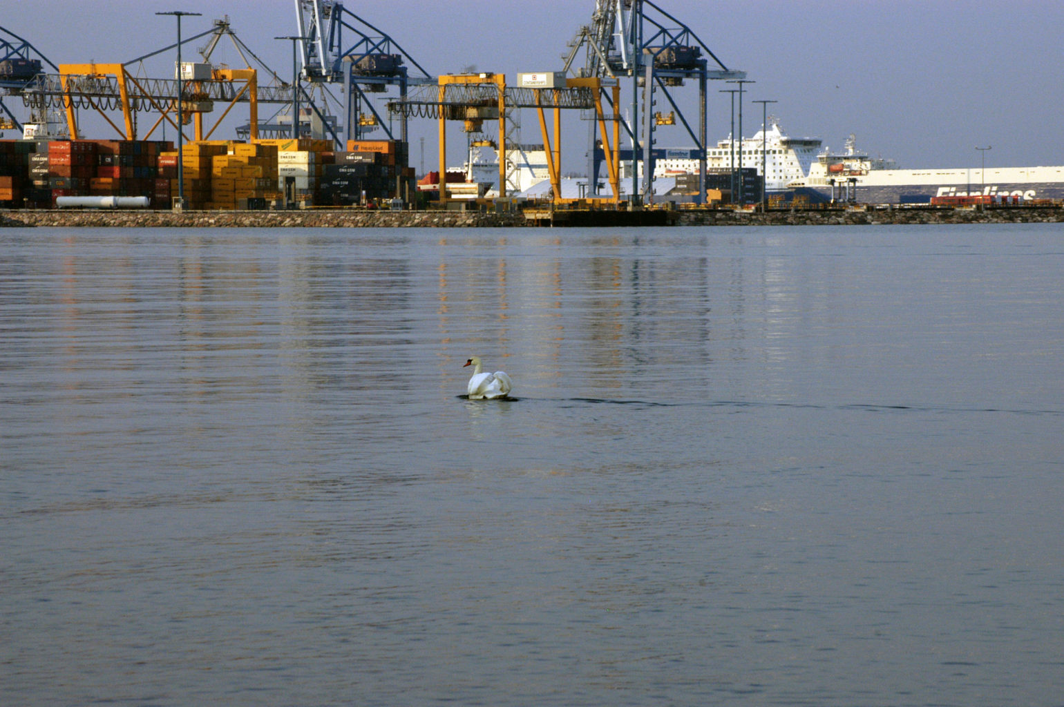 Valokuvaaja: Matti Hilli