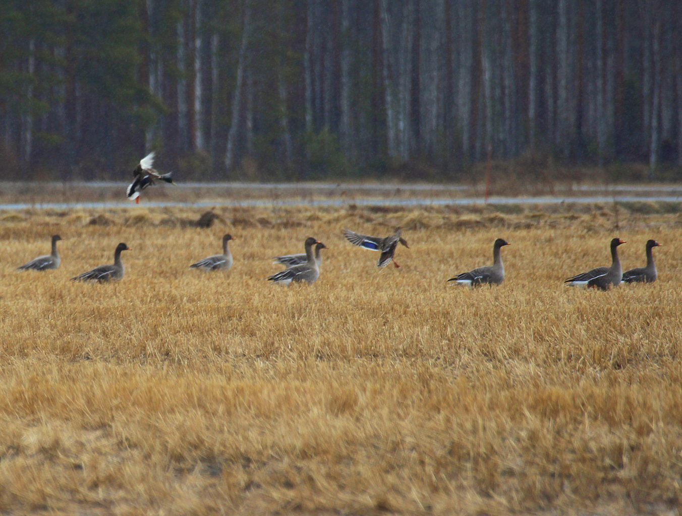 Valokuvaaja: Sirpa Jyske