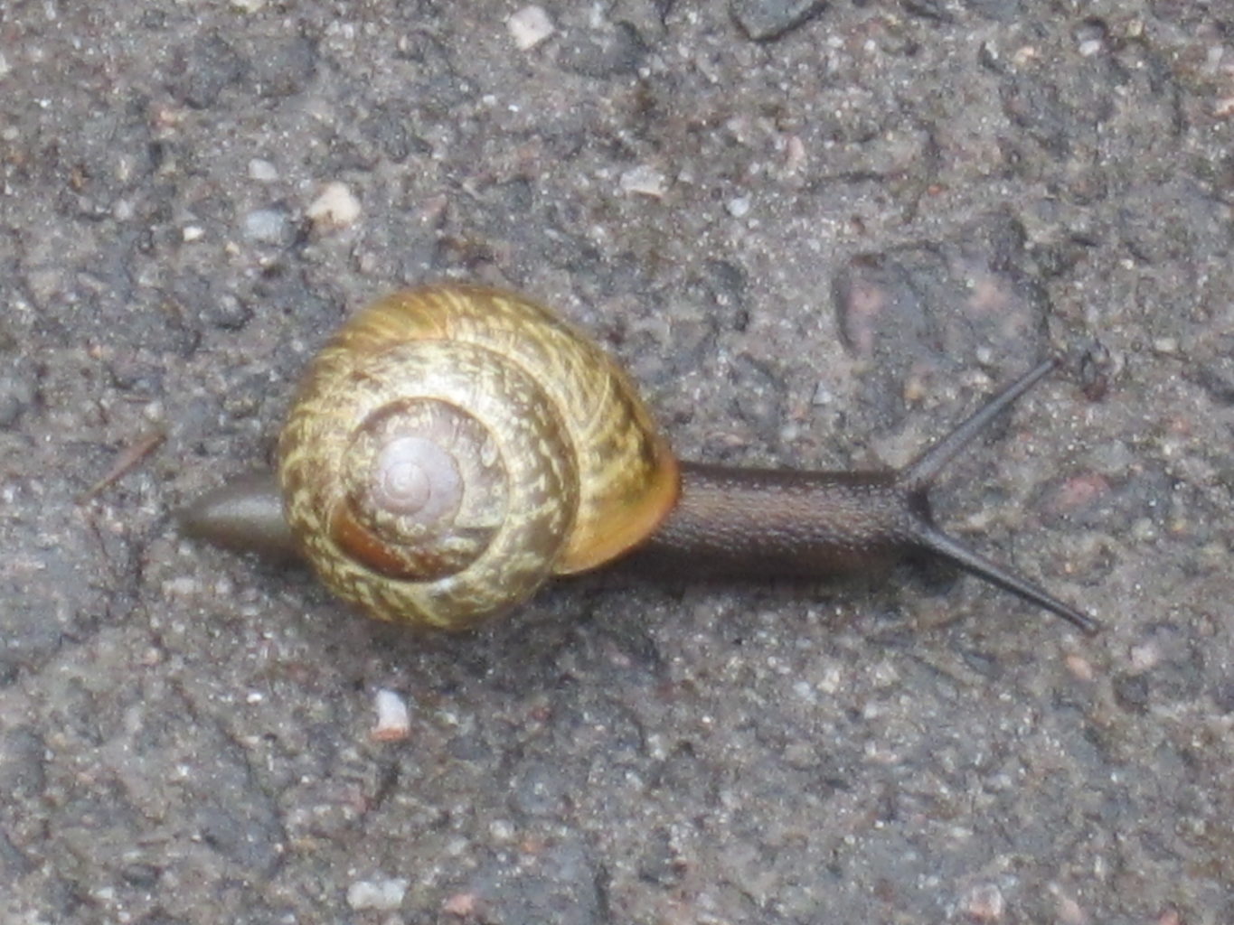 Valokuvaaja: Marita Portin