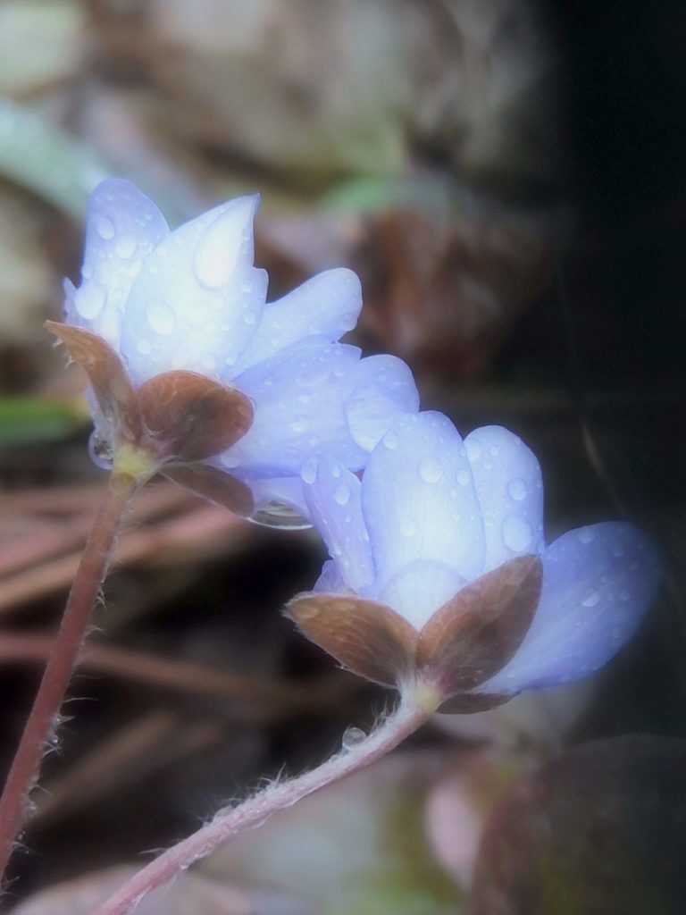 Valokuvaaja: Antti Kaskinen