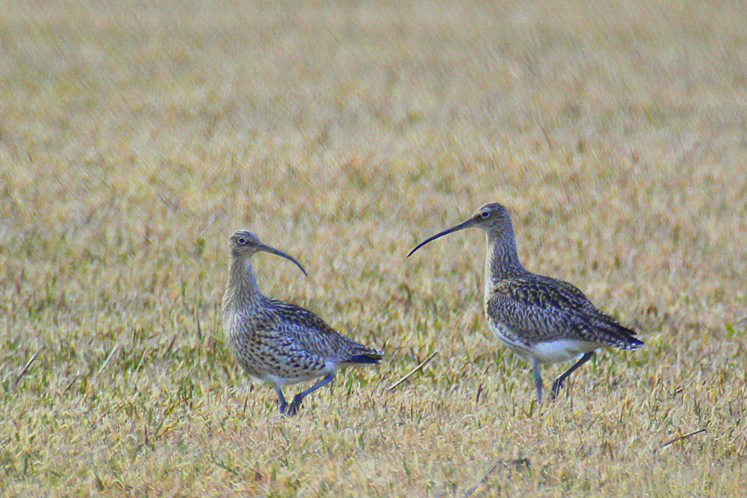 Valokuvaaja: Sirpa Jyske