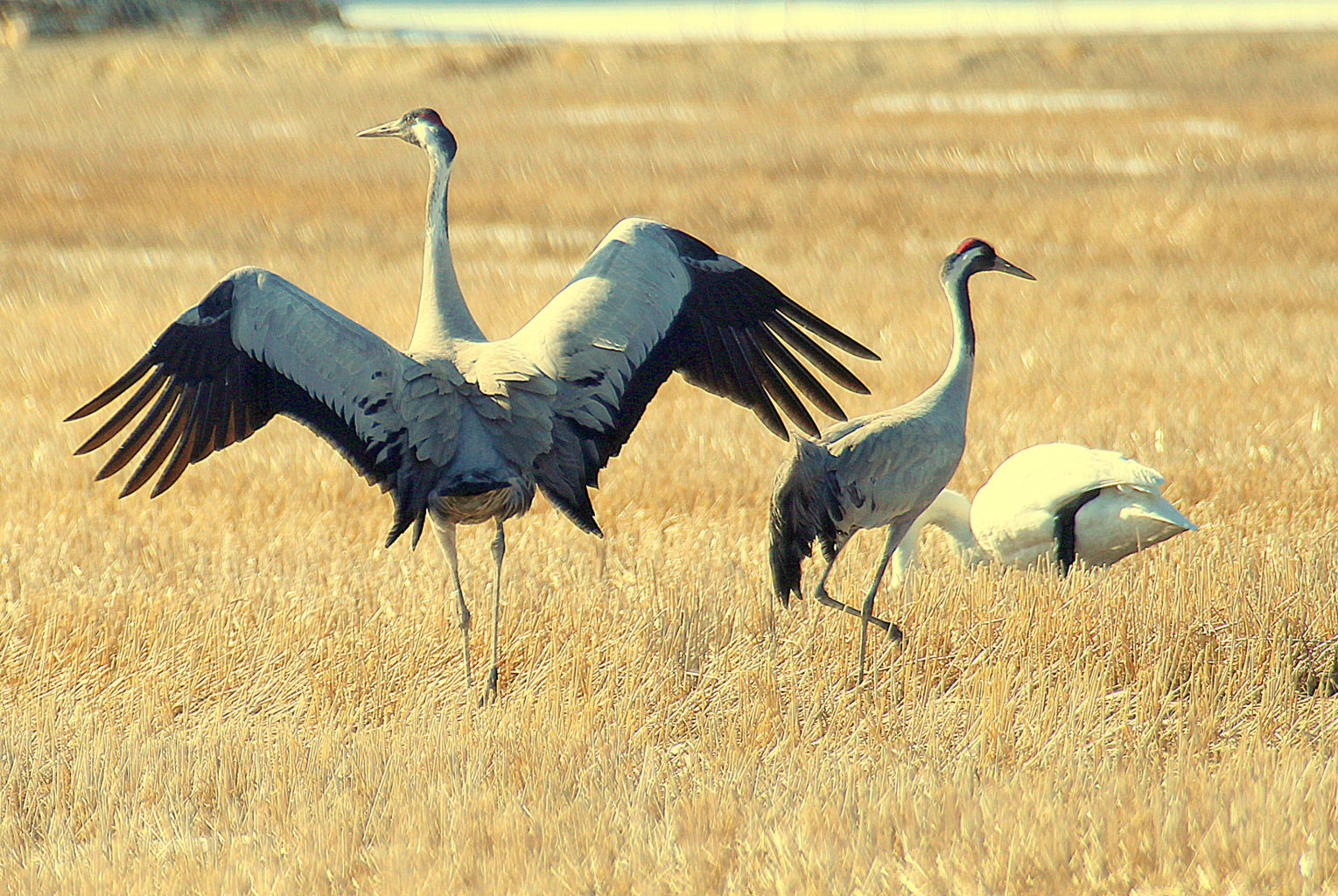 Valokuvaaja: Sirpa Jyske