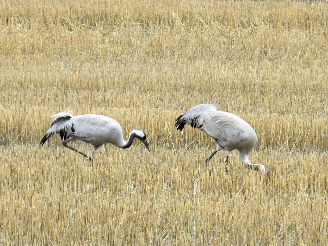 Valokuvaaja: Jaana Talvinen Valokuvaaja: Jaana Talvinen