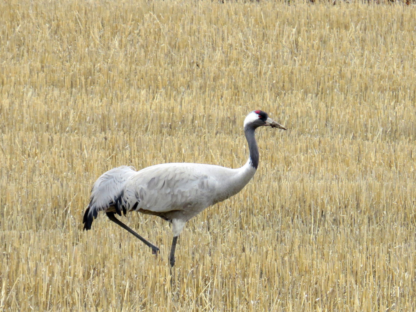 Valokuvaaja: Jaana Talvinen