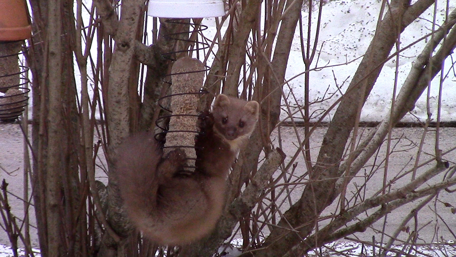 Valokuvaaja: Ari Voutilainen