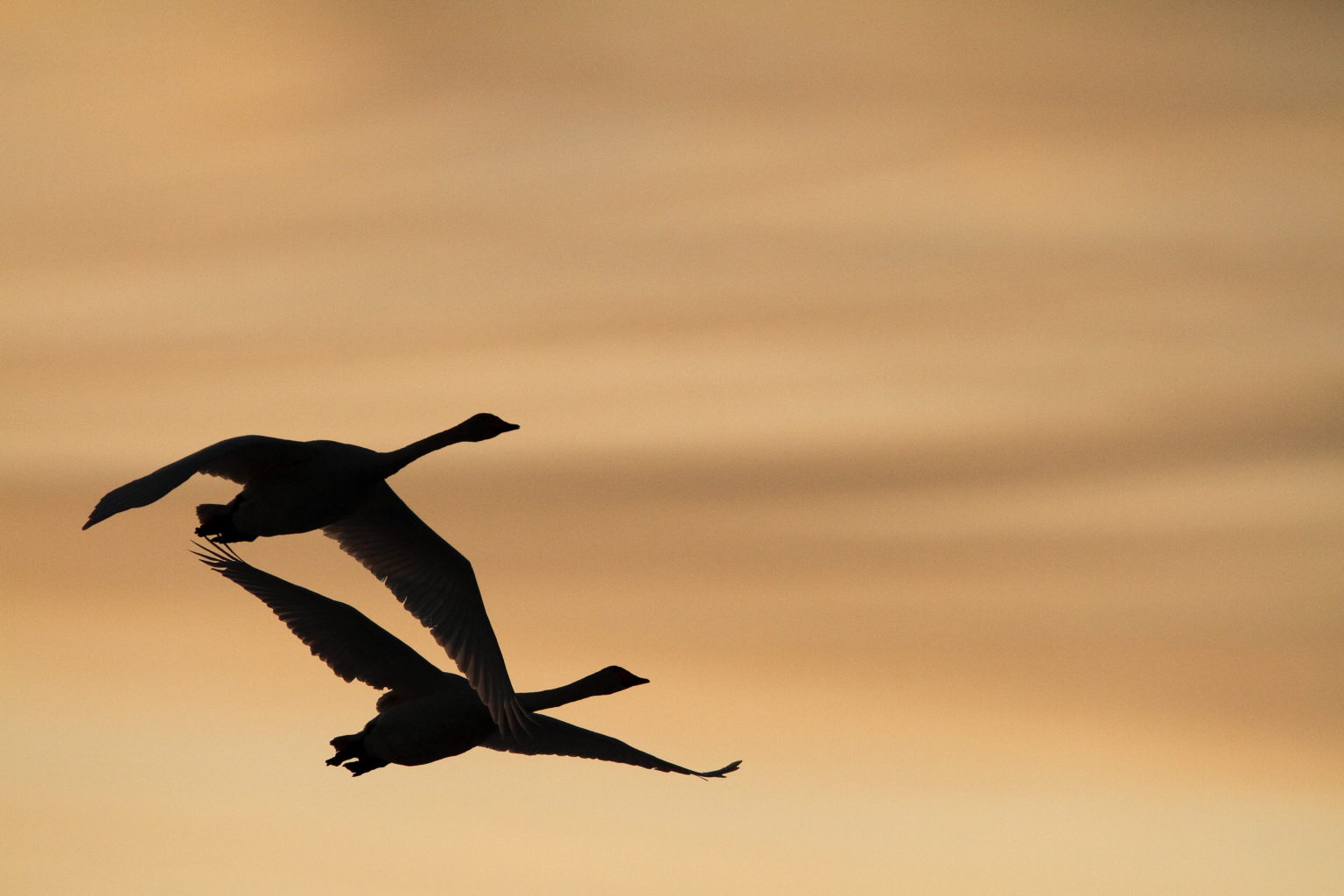 Valokuvaaja: Lasse Kokko
