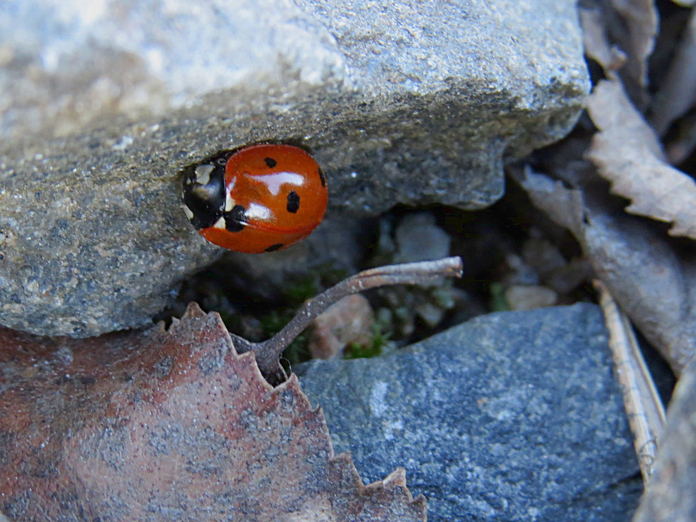 Valokuvaaja: Jaana Talvinen
