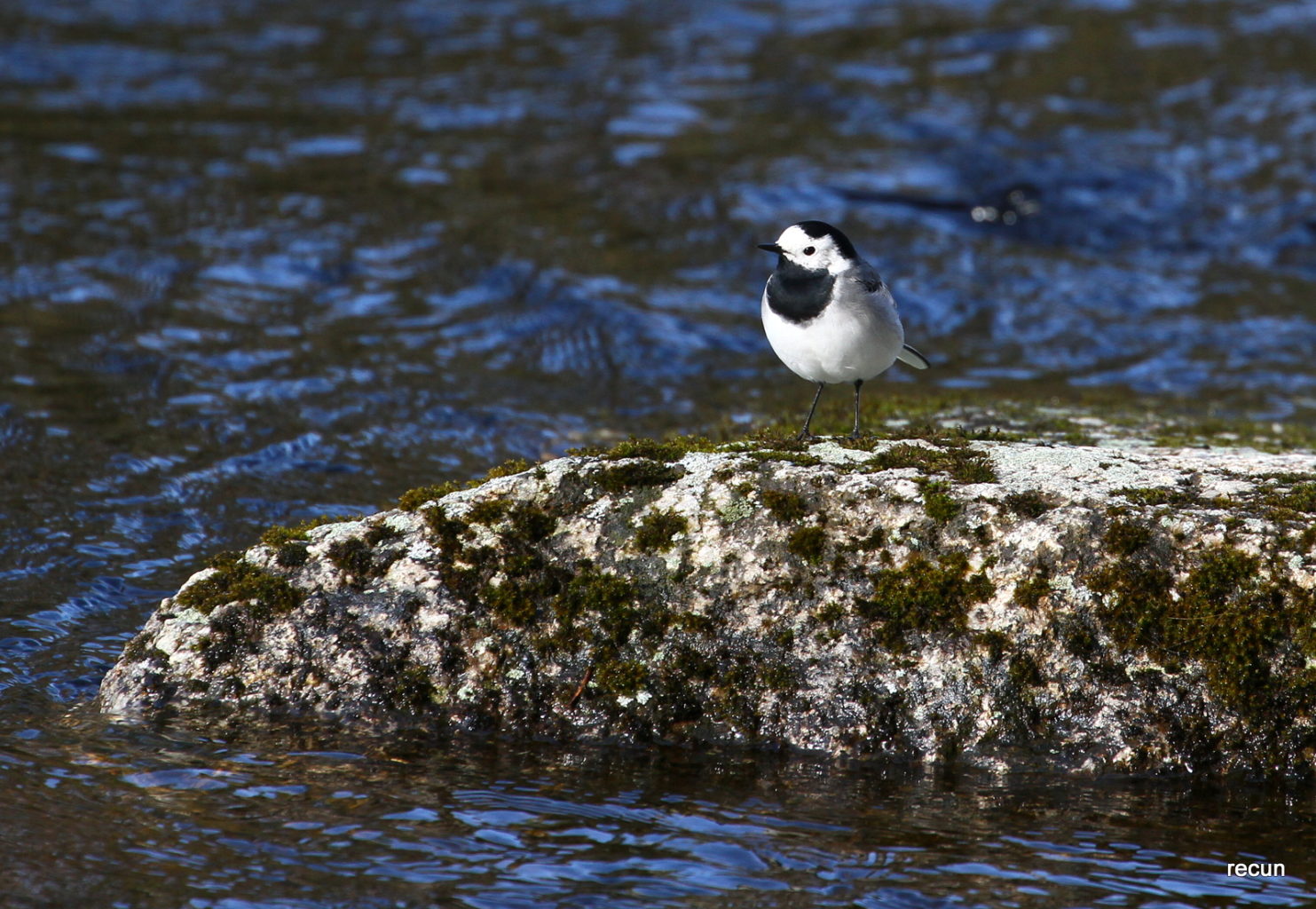 Valokuvaaja: reijo lehtonen
