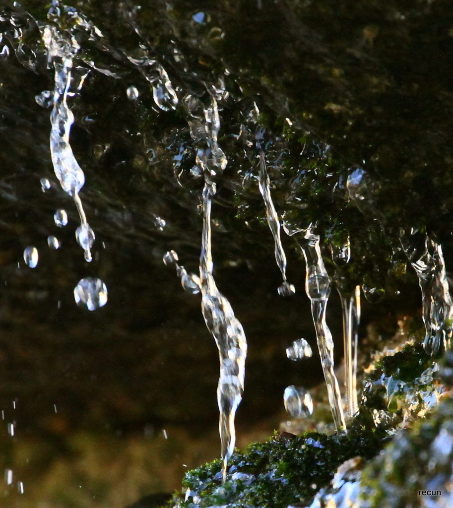 Valokuvaaja: reijo lehtonen