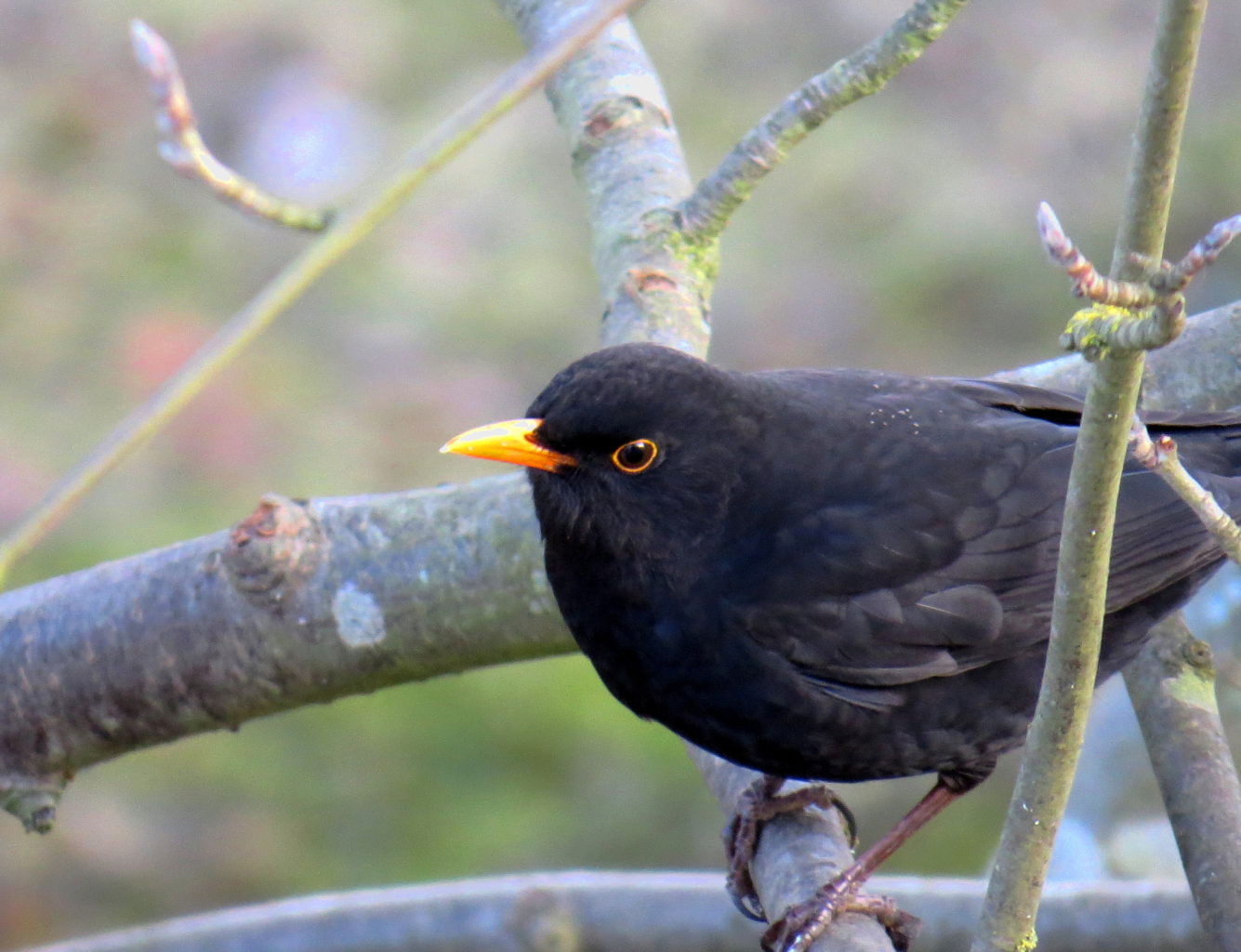 Valokuvaaja: Jaana Talvinen Valokuvaaja: Jaana Talvinen