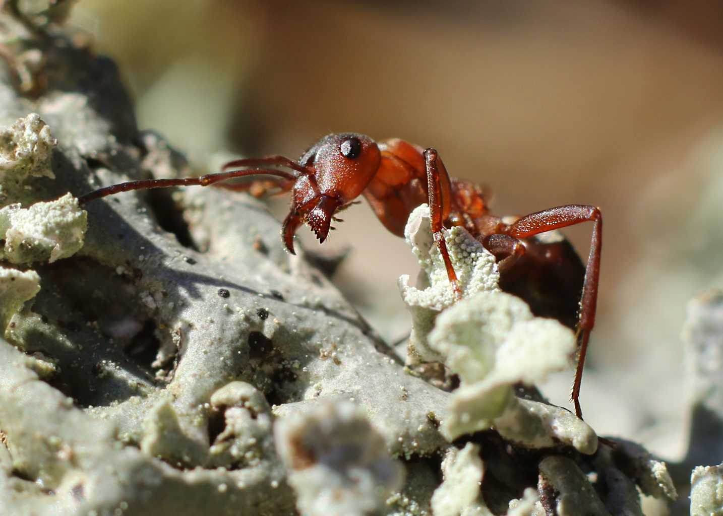 Valokuvaaja: Tarja Porkkala