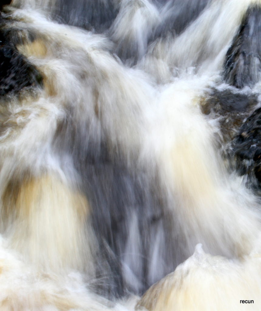 Valokuvaaja: reijo lehtonen