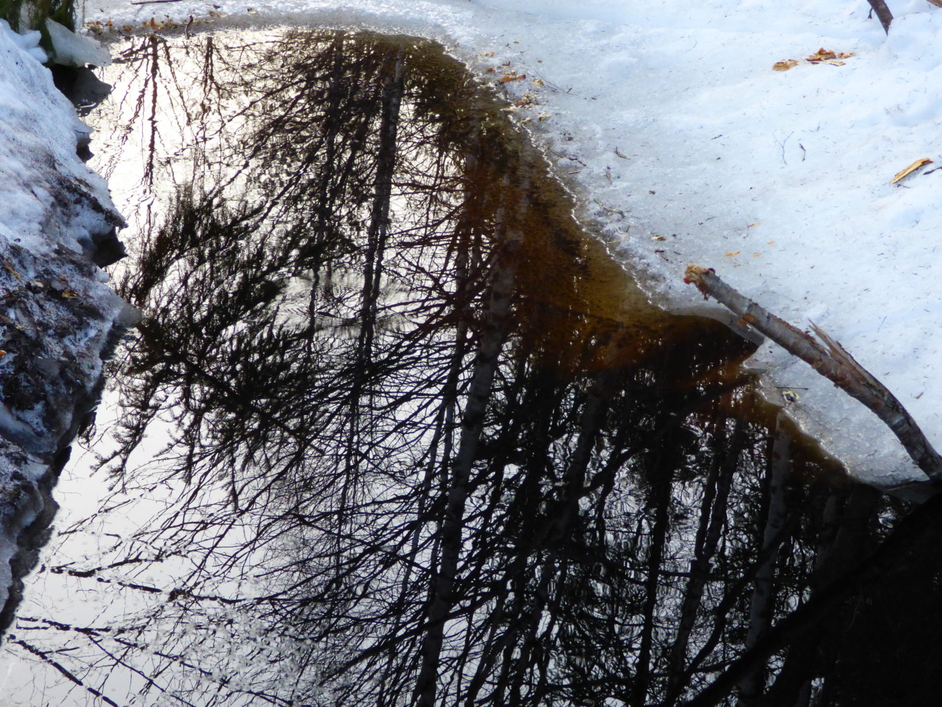 Valokuvaaja: Hannu Rissanen