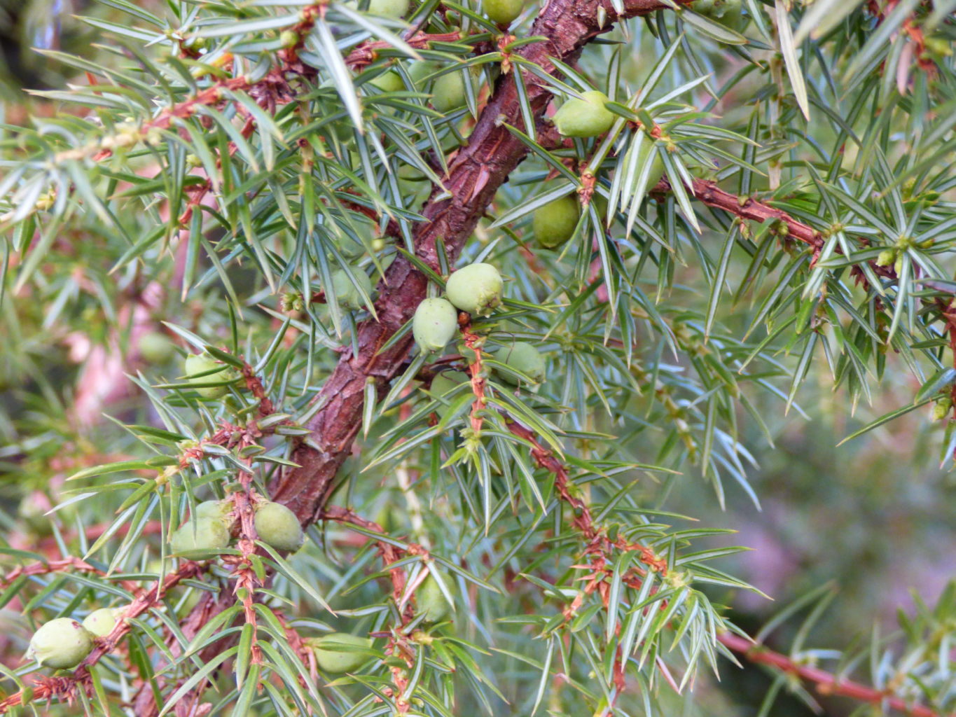 Valokuvaaja: Hannu Rissanen