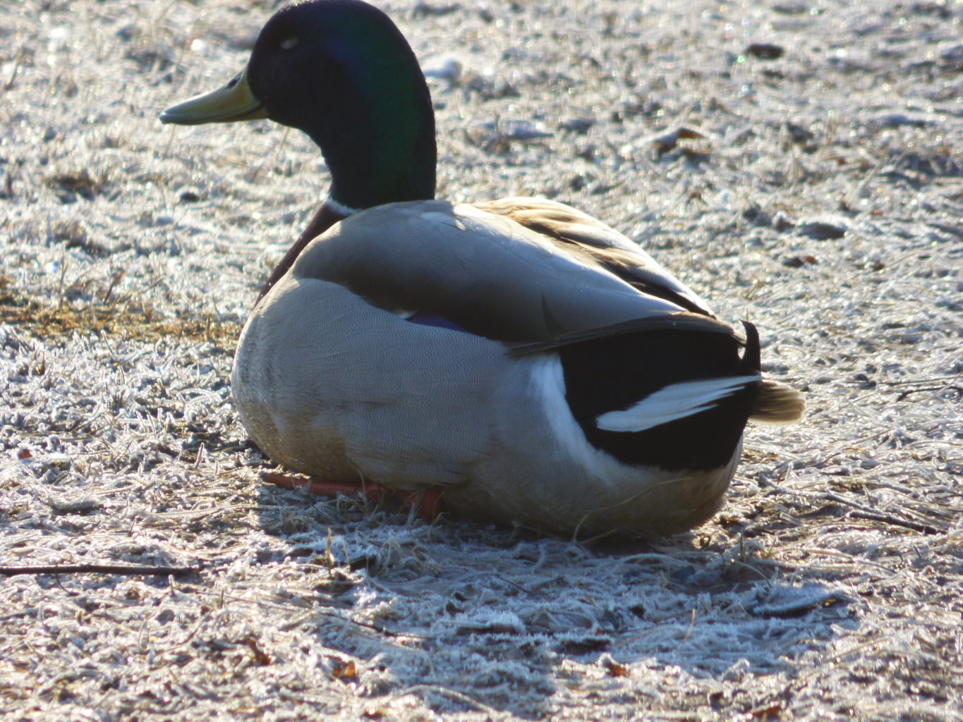 Valokuvaaja: Hannu Rissanen