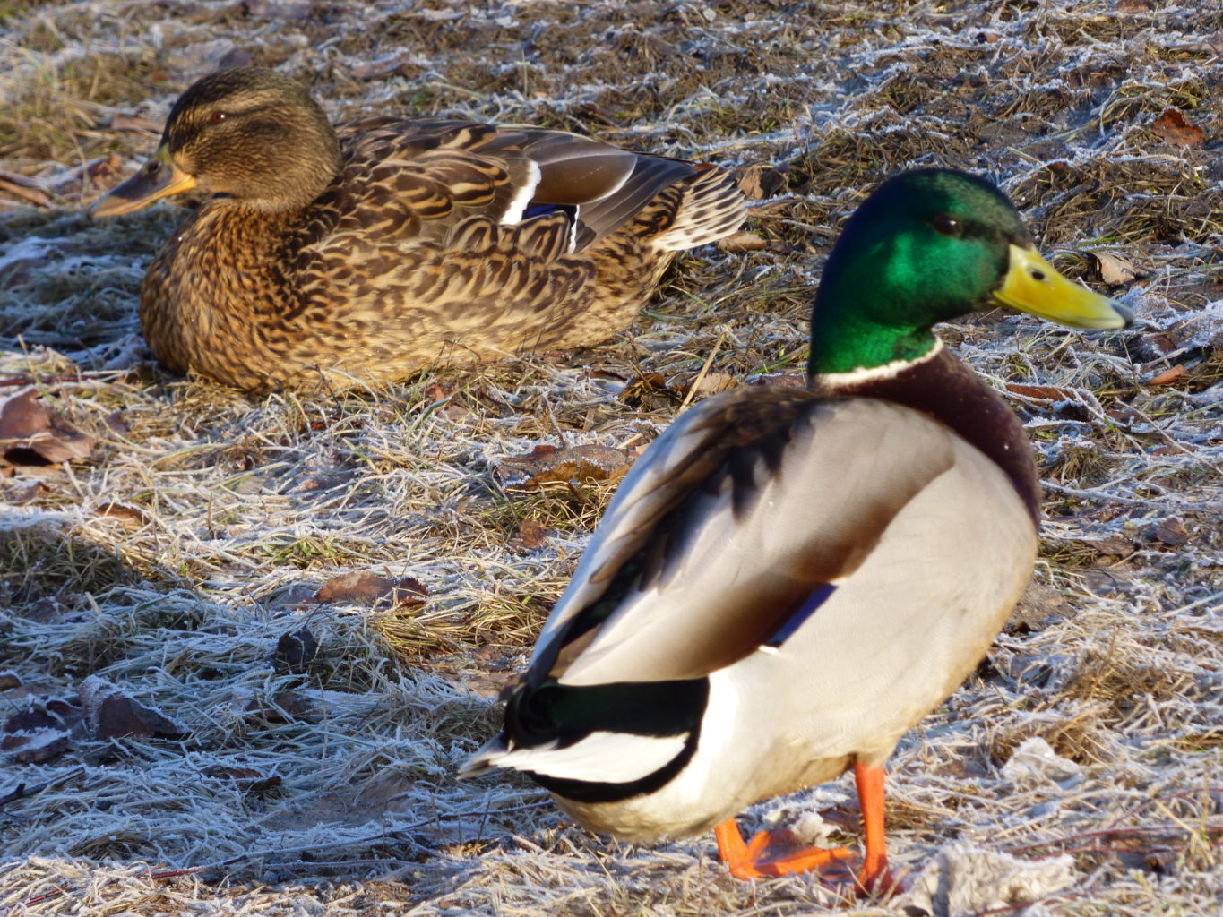 Valokuvaaja: Hannu Rissanen