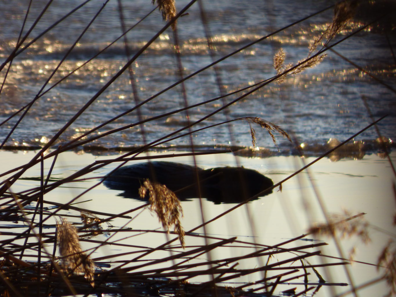 Valokuvaaja: Hannu Rissanen