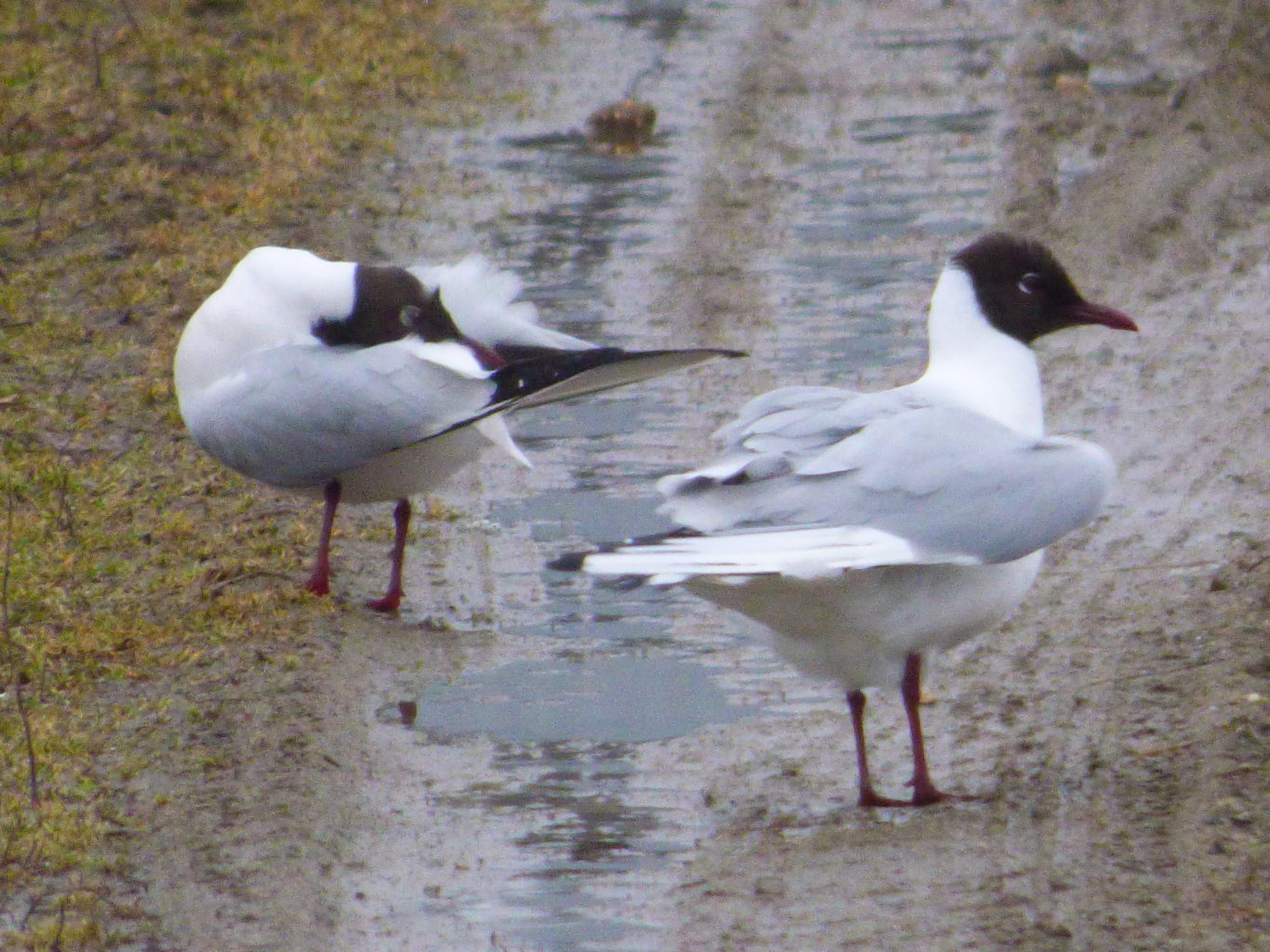 Valokuvaaja: Hannu Rissanen