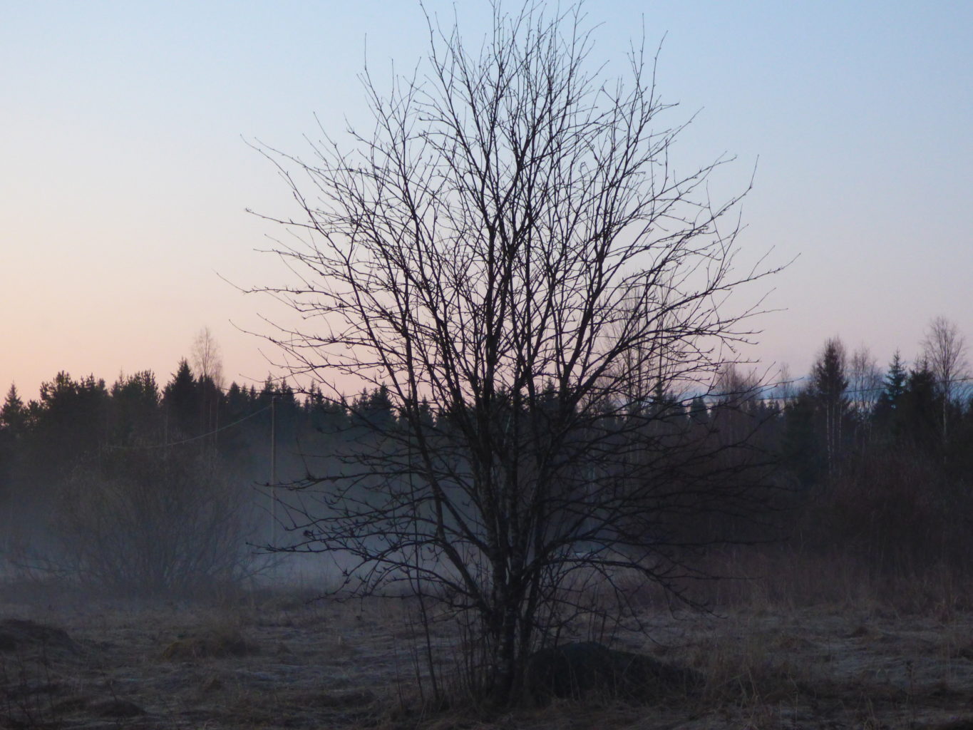 Valokuvaaja: Hannu Rissanen