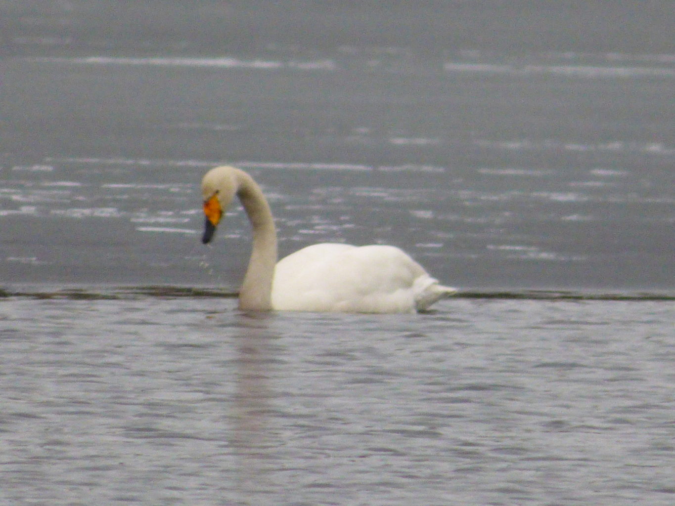 Valokuvaaja: Hannu Rissanen